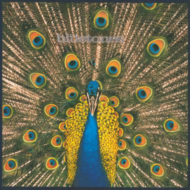 The Bluetones -  Expecting to Fly